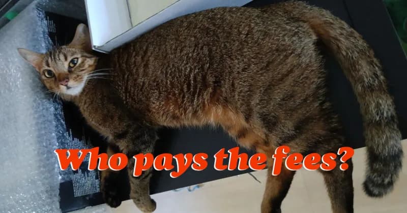 Designing a who-pays-the-fee interface